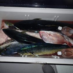 Aquanaut（アクアノート） 釣果