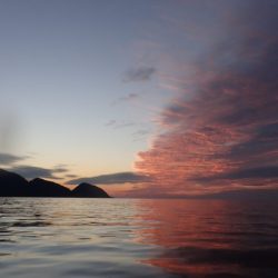 Aquanaut（アクアノート） 釣果