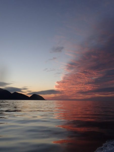 Aquanaut（アクアノート） 釣果