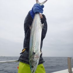 Aquanaut（アクアノート） 釣果