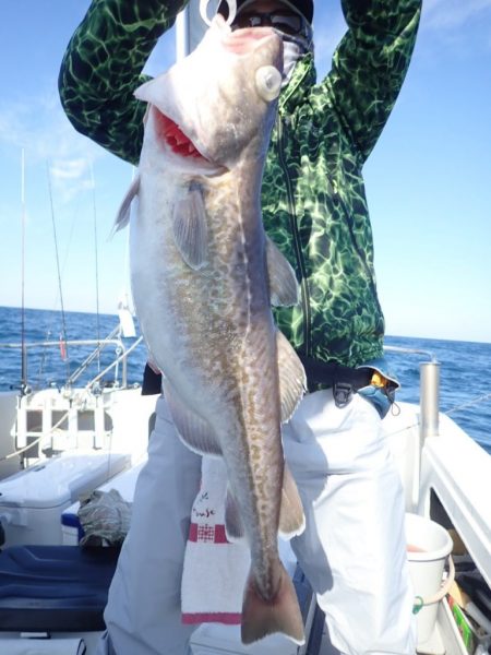 Aquanaut（アクアノート） 釣果