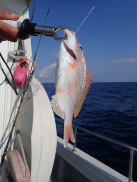 Aquanaut(アクアノート) 釣果