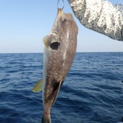 Aquanaut(アクアノート) 釣果