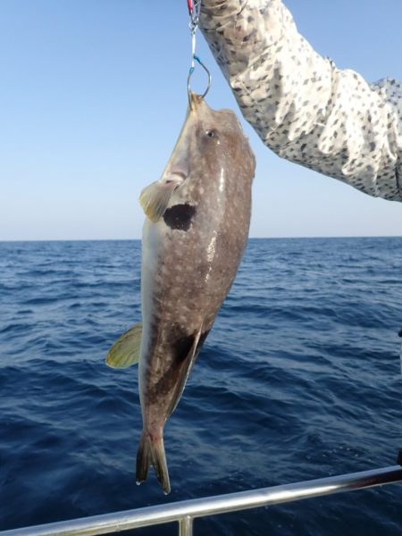 Aquanaut(アクアノート) 釣果