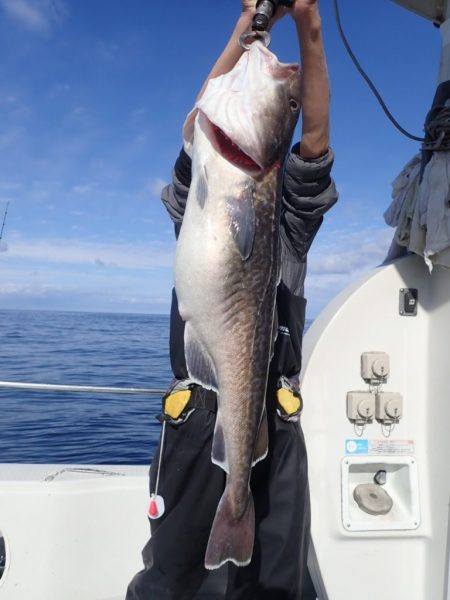 Aquanaut(アクアノート) 釣果