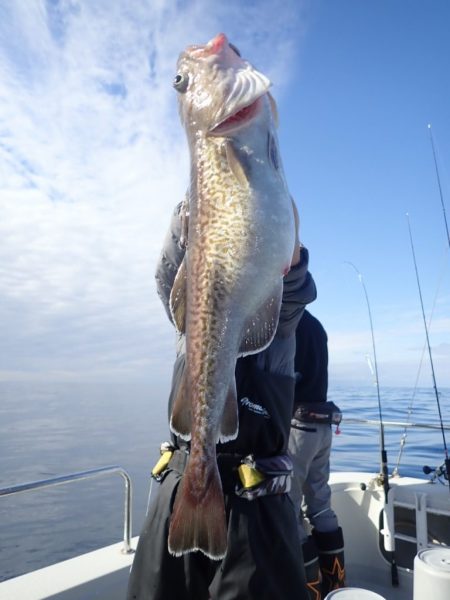 Aquanaut(アクアノート) 釣果