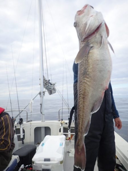 Aquanaut(アクアノート) 釣果