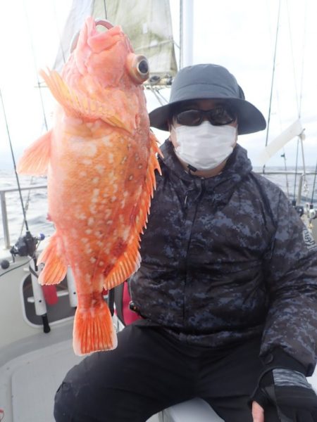 Aquanaut(アクアノート) 釣果