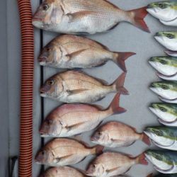 磯部釣船 直栄丸 釣果