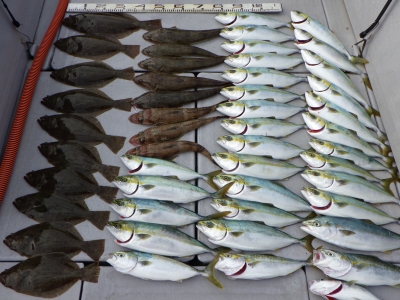 磯部釣船 直栄丸 釣果