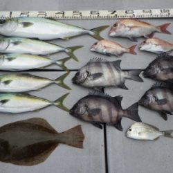 磯部釣船 直栄丸 釣果