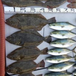 磯部釣船 直栄丸 釣果