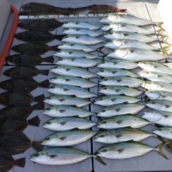 磯部釣船 直栄丸 釣果