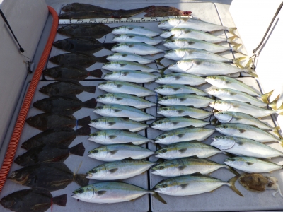 磯部釣船 直栄丸 釣果