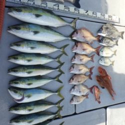磯部釣船 直栄丸 釣果