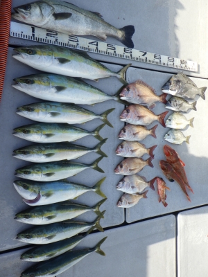 磯部釣船 直栄丸 釣果