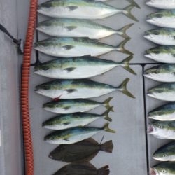 磯部釣船 直栄丸 釣果