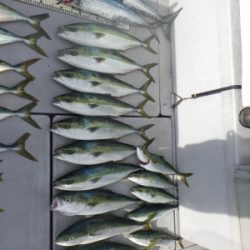 磯部釣船 直栄丸 釣果