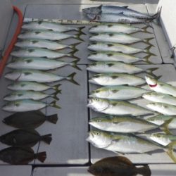 磯部釣船 直栄丸 釣果