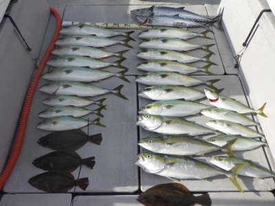 磯部釣船 直栄丸 釣果