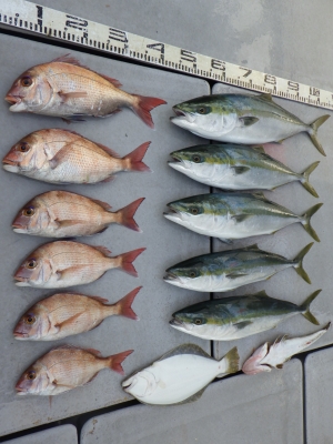 磯部釣船 直栄丸 釣果