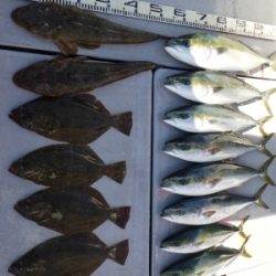 磯部釣船 直栄丸 釣果