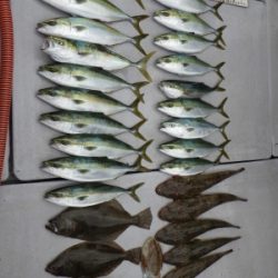 磯部釣船 直栄丸 釣果