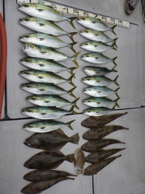 磯部釣船 直栄丸 釣果