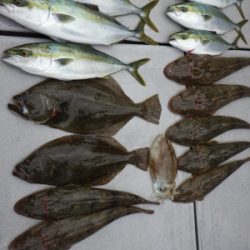 磯部釣船 直栄丸 釣果