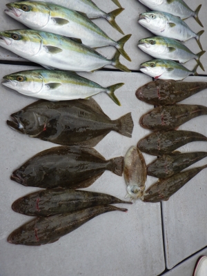 磯部釣船 直栄丸 釣果