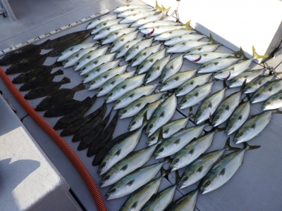 磯部釣船 直栄丸 釣果