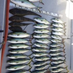 磯部釣船 直栄丸 釣果