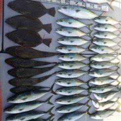 磯部釣船 直栄丸 釣果