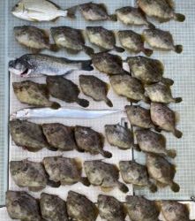 さぶろう丸 釣果