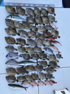 さぶろう丸 釣果