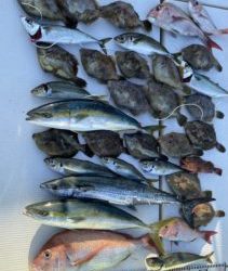 さぶろう丸 釣果