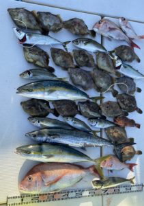 さぶろう丸 釣果