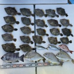 さぶろう丸 釣果