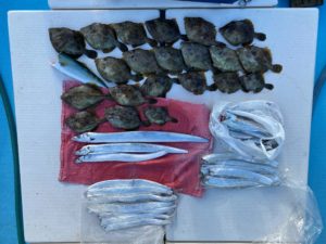 さぶろう丸 釣果