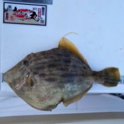 さぶろう丸 釣果