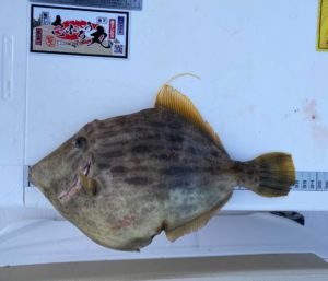 さぶろう丸 釣果