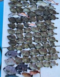 さぶろう丸 釣果