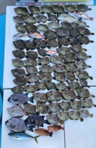 さぶろう丸 釣果