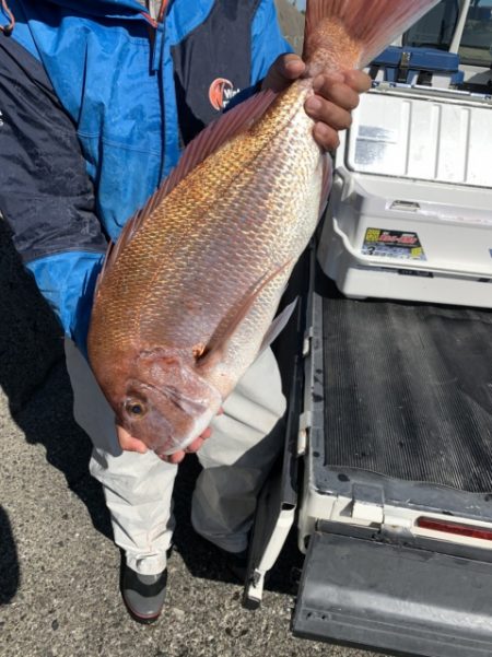 松栄丸 釣果