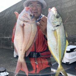 松栄丸 釣果