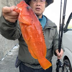 松栄丸 釣果