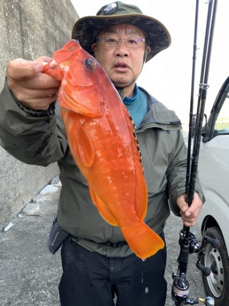 松栄丸 釣果