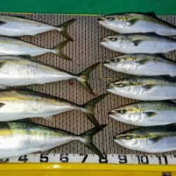 火遠理丸（ほおりまる） 釣果