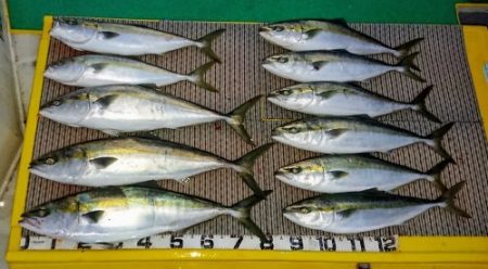 火遠理丸（ほおりまる） 釣果