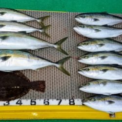 火遠理丸（ほおりまる） 釣果